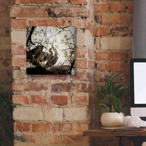 Image of 'Connection' by Debra Van Swearingen, Canvas Wall Art,12 x 12