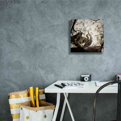 Image of 'Connection' by Debra Van Swearingen, Canvas Wall Art,12 x 12