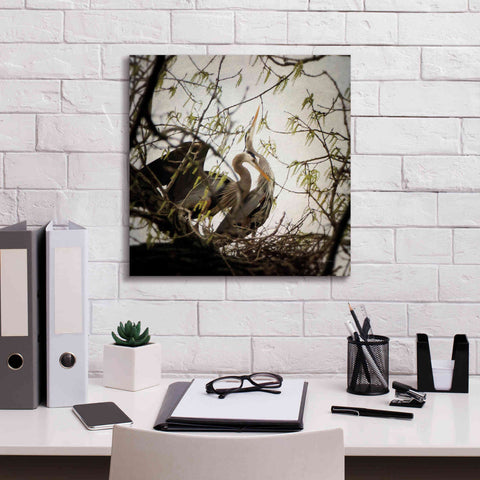 Image of 'Connection' by Debra Van Swearingen, Canvas Wall Art,18 x 18