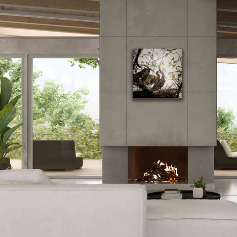 Image of 'Connection' by Debra Van Swearingen, Canvas Wall Art,26 x 26