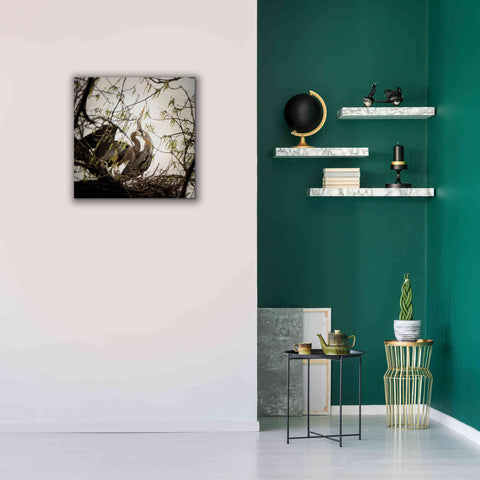 Image of 'Connection' by Debra Van Swearingen, Canvas Wall Art,26 x 26