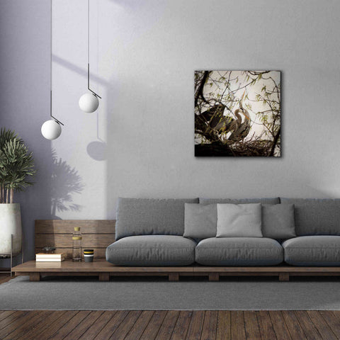 Image of 'Connection' by Debra Van Swearingen, Canvas Wall Art,37 x 37