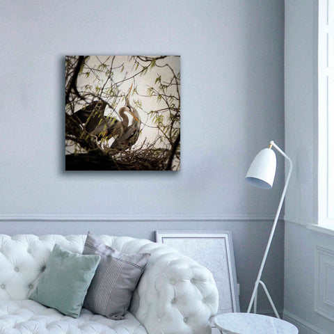 Image of 'Connection' by Debra Van Swearingen, Canvas Wall Art,37 x 37