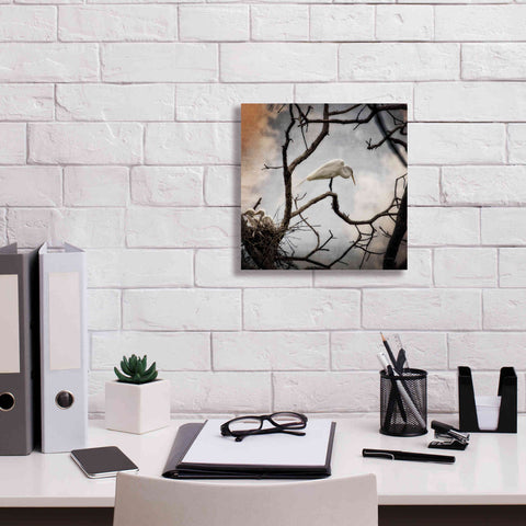 Image of 'Respite' by Debra Van Swearingen, Canvas Wall Art,12 x 12