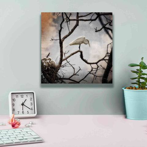 Image of 'Respite' by Debra Van Swearingen, Canvas Wall Art,12 x 12