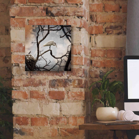 Image of 'Respite' by Debra Van Swearingen, Canvas Wall Art,12 x 12