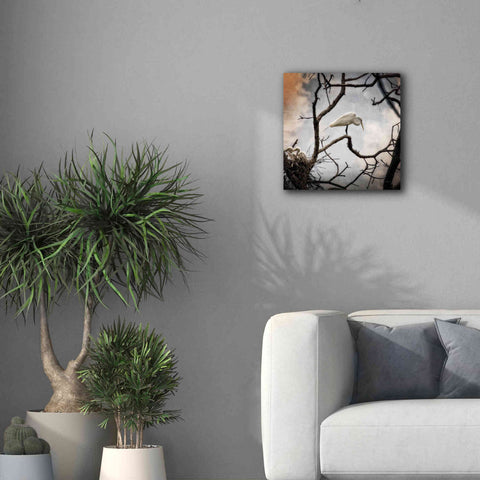 Image of 'Respite' by Debra Van Swearingen, Canvas Wall Art,18 x 18