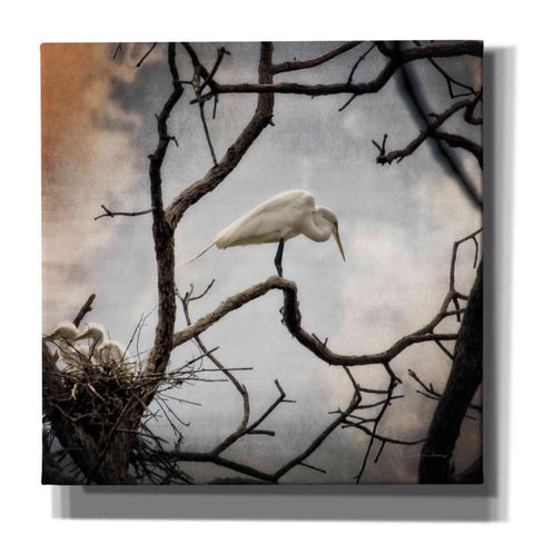 Image of 'Respite' by Debra Van Swearingen, Canvas Wall Art,12x12x1.1x0,18x18x1.1x0,26x26x1.74x0,37x37x1.74x0