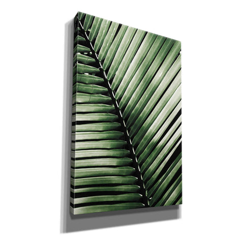 Image of 'Palm Frond I Green' by Debra Van Swearingen, Canvas Wall Art,12x18x1.1x0,18x26x1.1x0,26x40x1.74x0,40x60x1.74x0