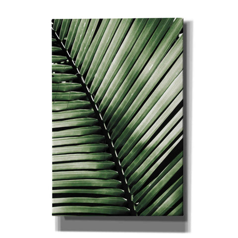 Image of 'Palm Frond I Green' by Debra Van Swearingen, Canvas Wall Art,12x18x1.1x0,18x26x1.1x0,26x40x1.74x0,40x60x1.74x0