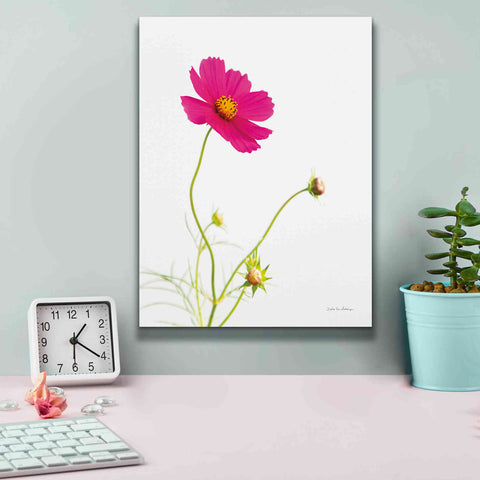 Image of 'Magenta Cosmos I' by Debra Van Swearingen, Canvas Wall Art,12 x 16