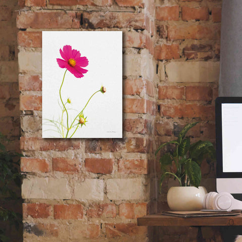 Image of 'Magenta Cosmos I' by Debra Van Swearingen, Canvas Wall Art,12 x 16