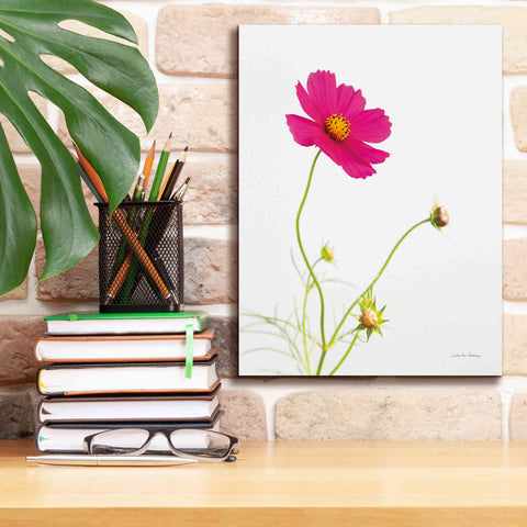 Image of 'Magenta Cosmos I' by Debra Van Swearingen, Canvas Wall Art,12 x 16