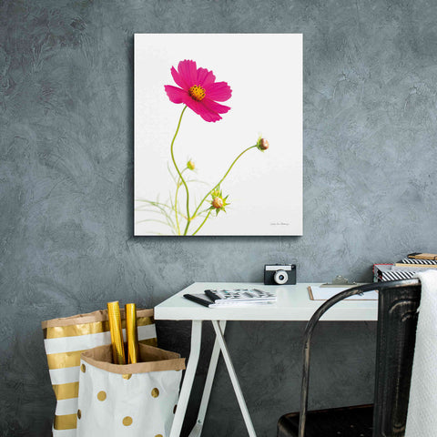 Image of 'Magenta Cosmos I' by Debra Van Swearingen, Canvas Wall Art,20 x 24