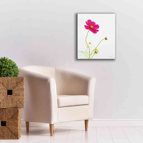 Image of 'Magenta Cosmos I' by Debra Van Swearingen, Canvas Wall Art,20 x 24