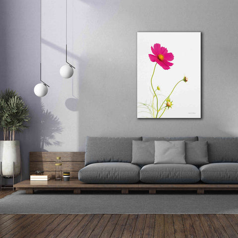 Image of 'Magenta Cosmos I' by Debra Van Swearingen, Canvas Wall Art,40 x 54