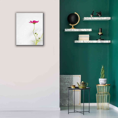 Image of 'Magenta Cosmos II' by Debra Van Swearingen, Canvas Wall Art,20 x 24