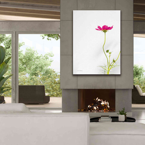 Image of 'Magenta Cosmos II' by Debra Van Swearingen, Canvas Wall Art,40 x 54