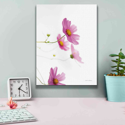 Image of 'Pale Cosmos I' by Debra Van Swearingen, Canvas Wall Art,12 x 16