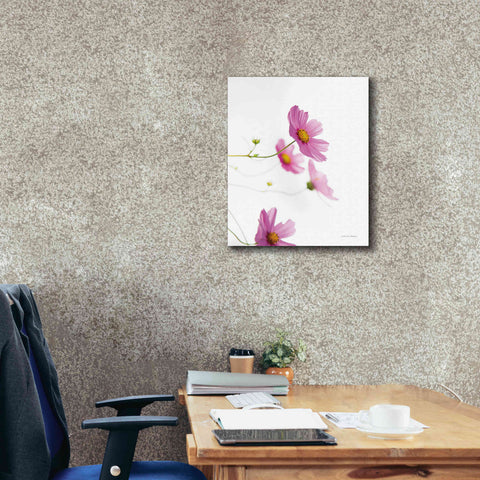 Image of 'Pale Cosmos I' by Debra Van Swearingen, Canvas Wall Art,20 x 24
