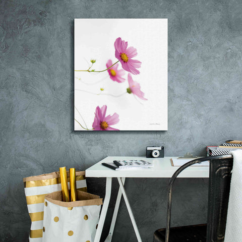 Image of 'Pale Cosmos I' by Debra Van Swearingen, Canvas Wall Art,20 x 24