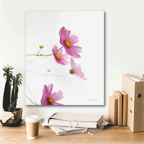 Image of 'Pale Cosmos I' by Debra Van Swearingen, Canvas Wall Art,20 x 24