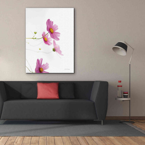 Image of 'Pale Cosmos I' by Debra Van Swearingen, Canvas Wall Art,40 x 54