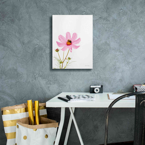 Image of 'Pale Cosmos II' by Debra Van Swearingen, Canvas Wall Art,12 x 16