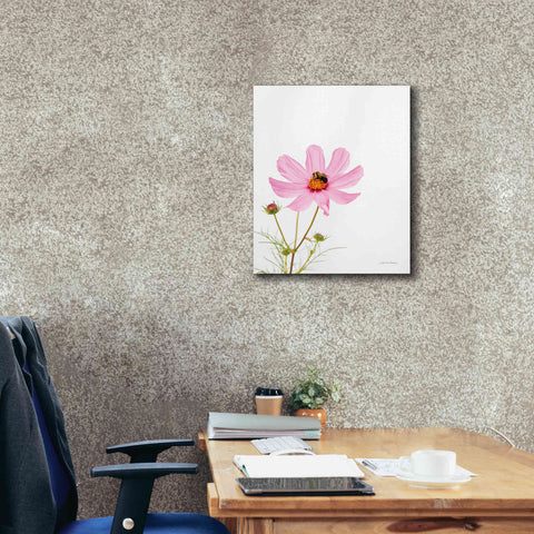 Image of 'Pale Cosmos II' by Debra Van Swearingen, Canvas Wall Art,20 x 24