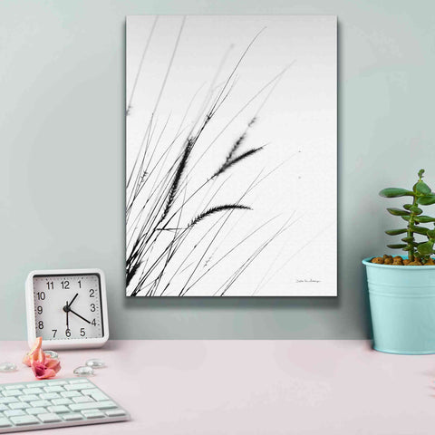 Image of 'Field Grasses I White' by Debra Van Swearingen, Canvas Wall Art,12 x 16
