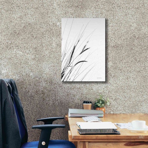 Image of 'Field Grasses I White' by Debra Van Swearingen, Canvas Wall Art,18 x 26