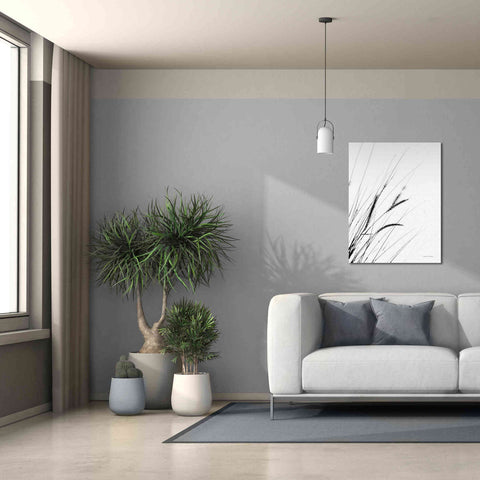 Image of 'Field Grasses I White' by Debra Van Swearingen, Canvas Wall Art,26 x 34