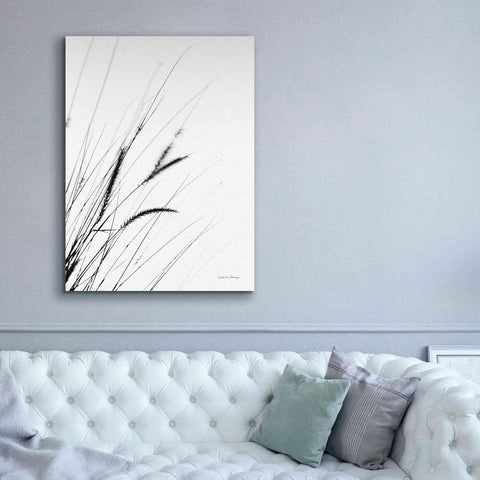 Image of 'Field Grasses I White' by Debra Van Swearingen, Canvas Wall Art,40 x 54