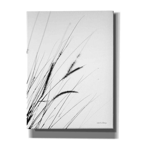 Image of 'Field Grasses I White' by Debra Van Swearingen, Canvas Wall Art,12x16x1.1x0,18x26x1.1x0,26x34x1.74x0,40x54x1.74x0
