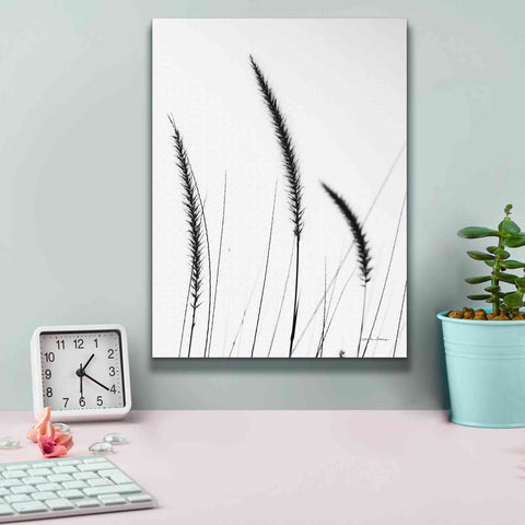 Image of 'Field Grasses IV White' by Debra Van Swearingen, Canvas Wall Art,12 x 16