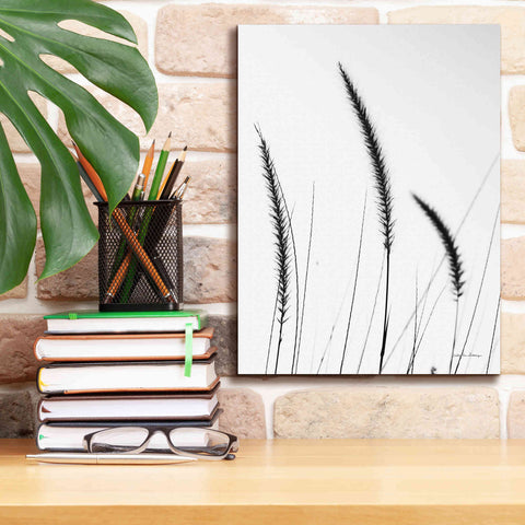 Image of 'Field Grasses IV White' by Debra Van Swearingen, Canvas Wall Art,12 x 16