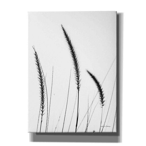 Image of 'Field Grasses IV White' by Debra Van Swearingen, Canvas Wall Art,12x16x1.1x0,18x26x1.1x0,26x34x1.74x0,40x54x1.74x0