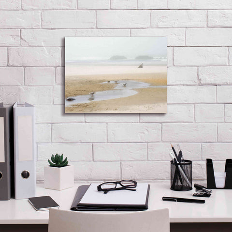 Image of 'Cold Beach II' by Debra Van Swearingen, Canvas Wall Art,16 x 12