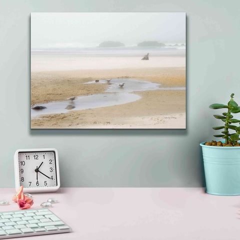 Image of 'Cold Beach II' by Debra Van Swearingen, Canvas Wall Art,16 x 12