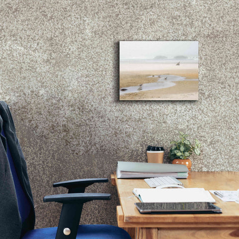 Image of 'Cold Beach II' by Debra Van Swearingen, Canvas Wall Art,16 x 12