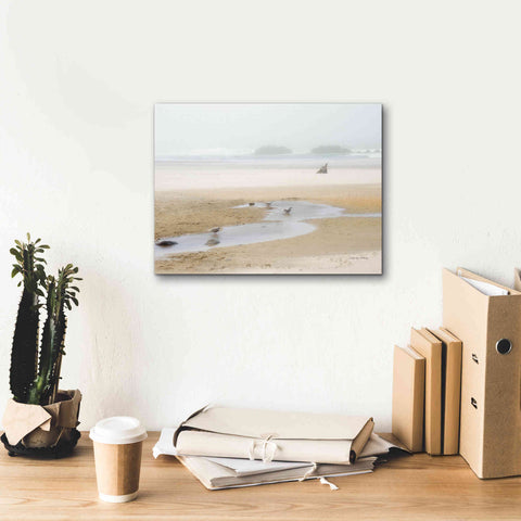 Image of 'Cold Beach II' by Debra Van Swearingen, Canvas Wall Art,16 x 12