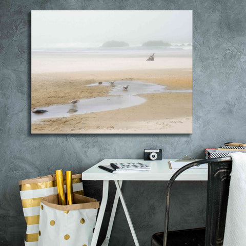 Image of 'Cold Beach II' by Debra Van Swearingen, Canvas Wall Art,34 x 26