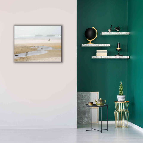 Image of 'Cold Beach II' by Debra Van Swearingen, Canvas Wall Art,34 x 26