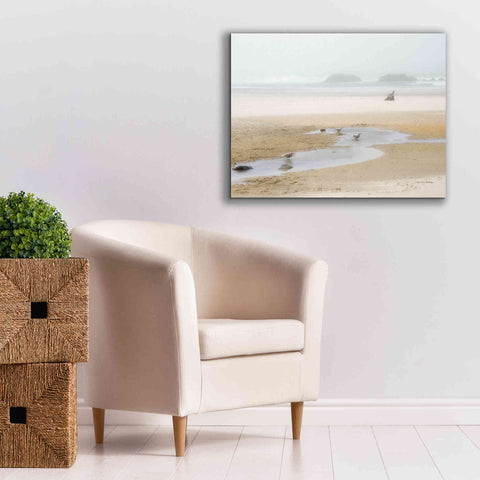 Image of 'Cold Beach II' by Debra Van Swearingen, Canvas Wall Art,34 x 26
