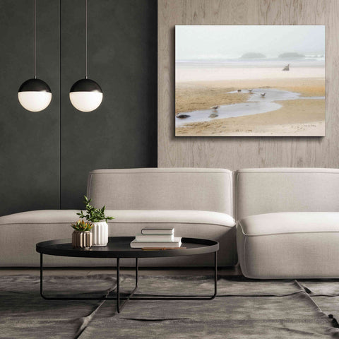 Image of 'Cold Beach II' by Debra Van Swearingen, Canvas Wall Art,54 x 40