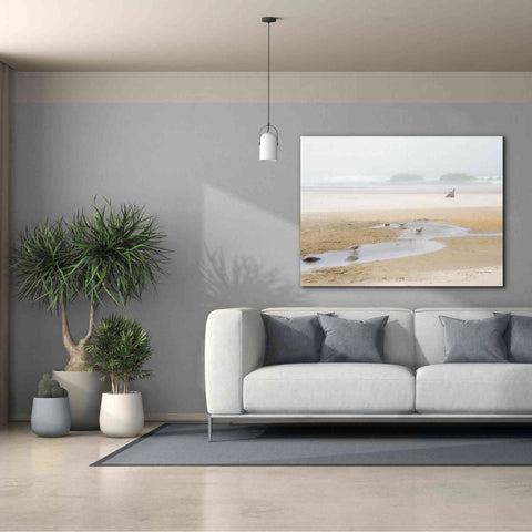 Image of 'Cold Beach II' by Debra Van Swearingen, Canvas Wall Art,54 x 40