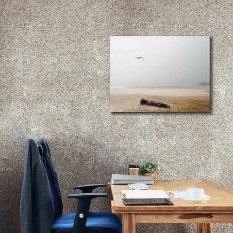 Image of 'Cold Beach III' by Debra Van Swearingen, Canvas Wall Art,34 x 26