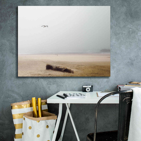 Image of 'Cold Beach III' by Debra Van Swearingen, Canvas Wall Art,34 x 26