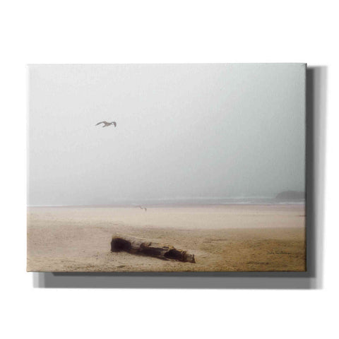 Image of 'Cold Beach III' by Debra Van Swearingen, Canvas Wall Art,16x12x1.1x0,26x18x1.1x0,34x26x1.74x0,54x40x1.74x0