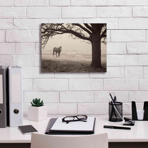 Image of 'Hazy Horse I' by Debra Van Swearingen, Canvas Wall Art,16 x 12